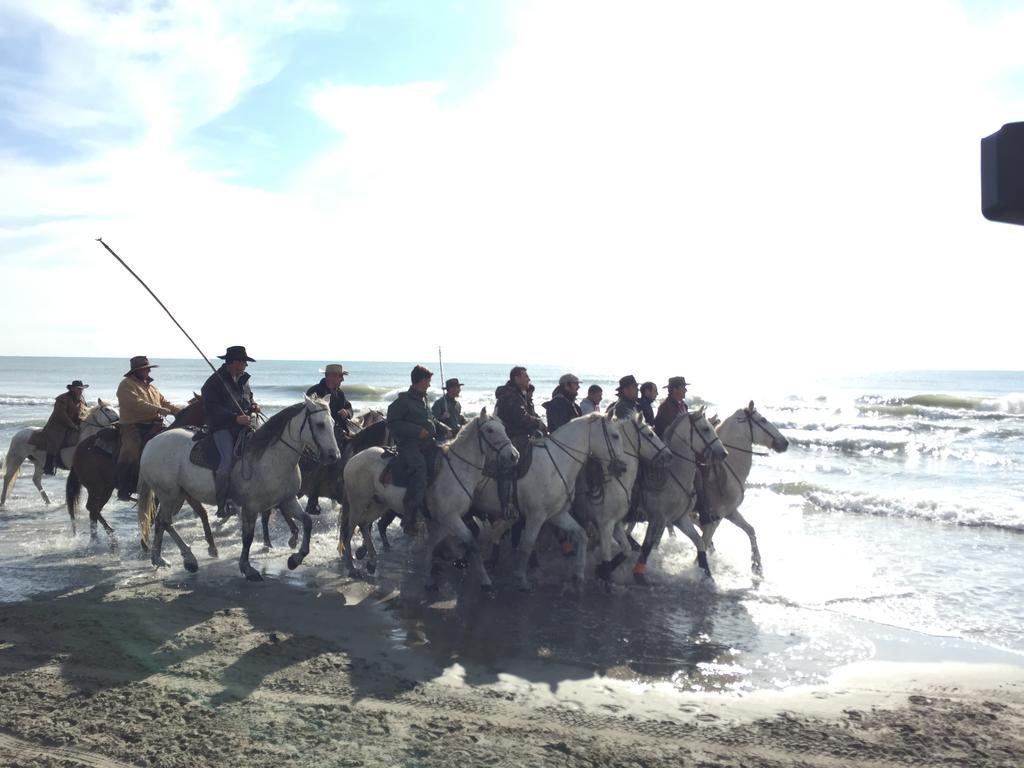 Hotel Les Palmiers En Camargue Saintes-Maries-de-la-Mer Eksteriør billede