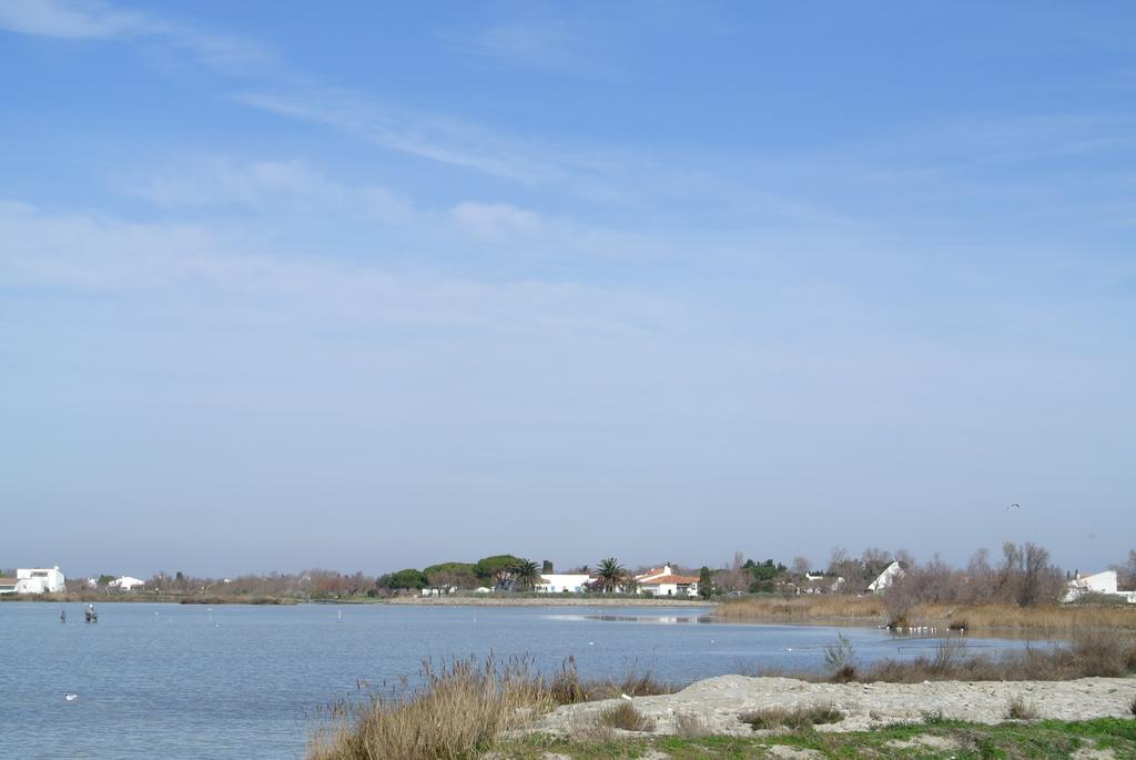 Hotel Les Palmiers En Camargue Saintes-Maries-de-la-Mer Værelse billede